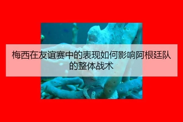 梅西在友谊赛中的表现如何影响阿根廷队的整体战术